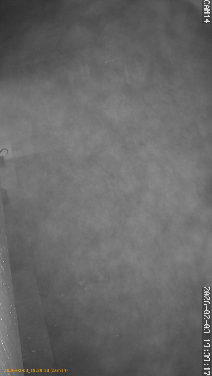 thumbnail_20260203193918