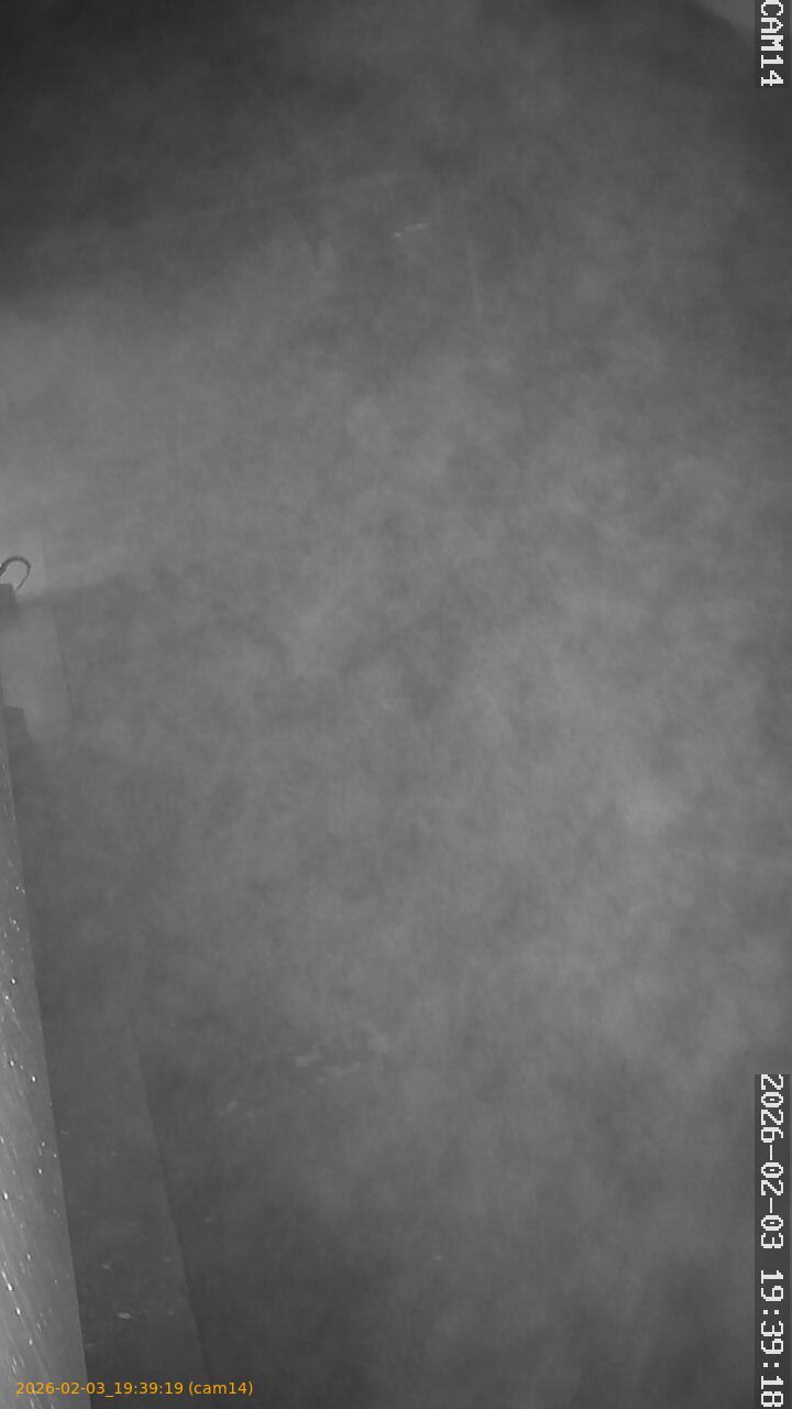 thumbnail_20260203193919