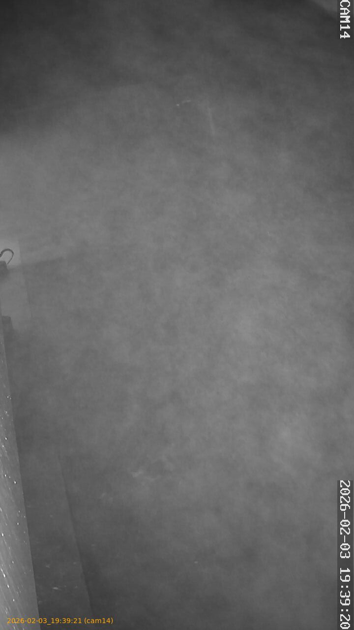 thumbnail_20260203193921