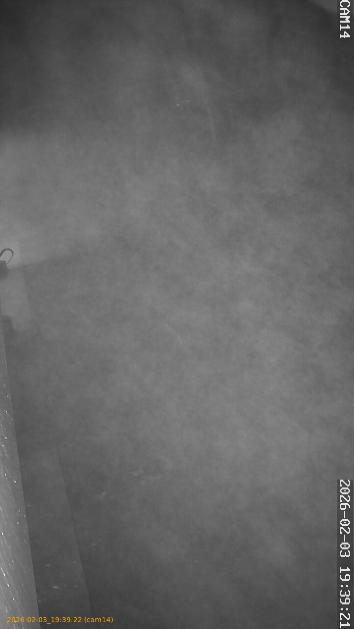 thumbnail_20260203193922