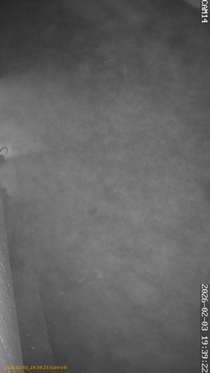 thumbnail_20260203193923