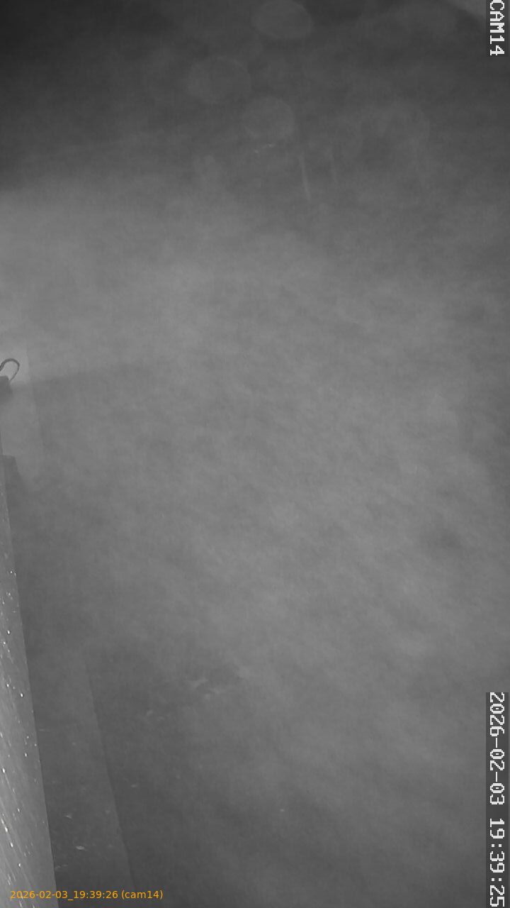 thumbnail_20260203193926