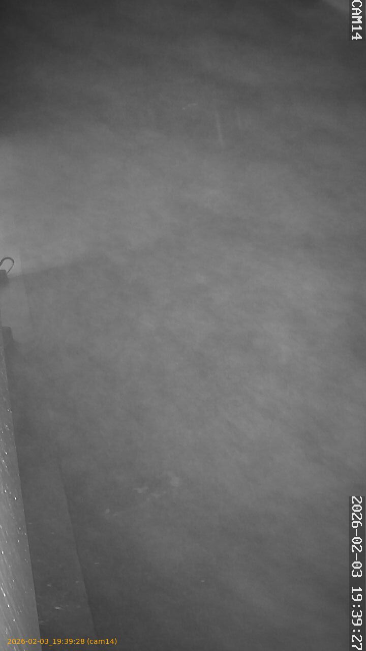 thumbnail_20260203193928