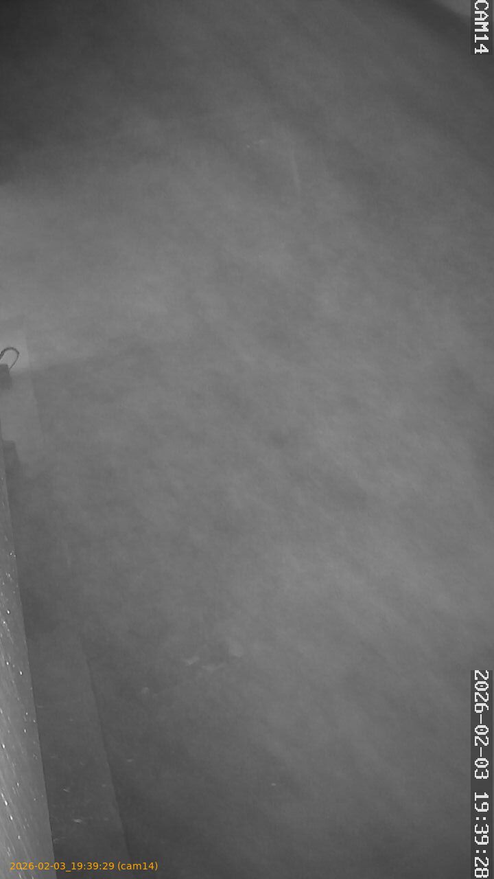 thumbnail_20260203193929