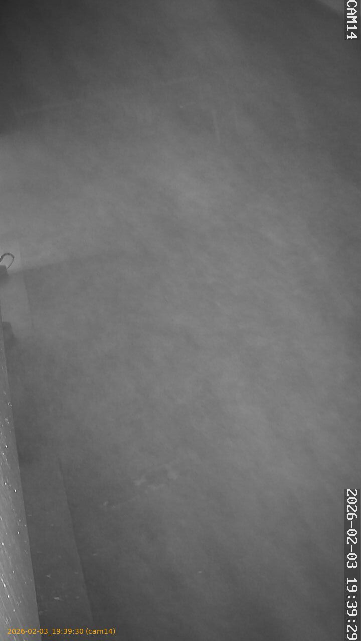 thumbnail_20260203193930