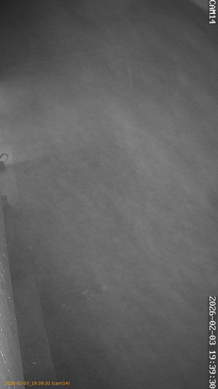 thumbnail_20260203193931