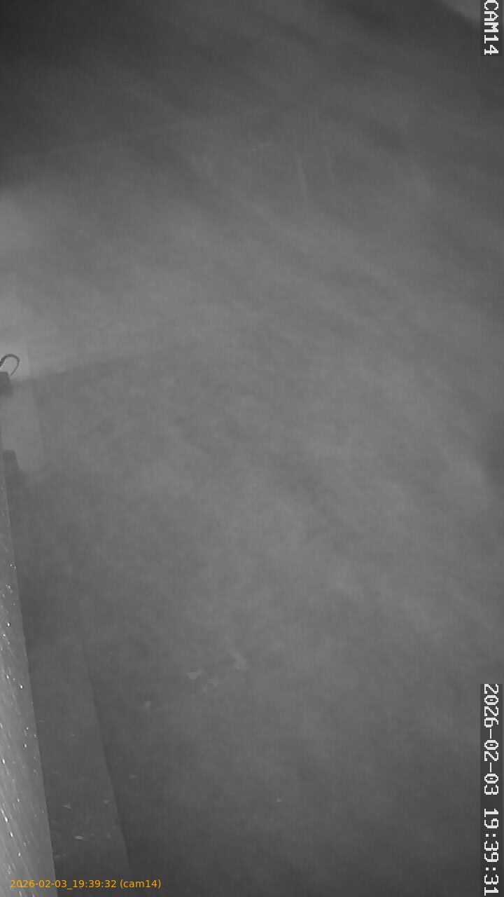 thumbnail_20260203193932