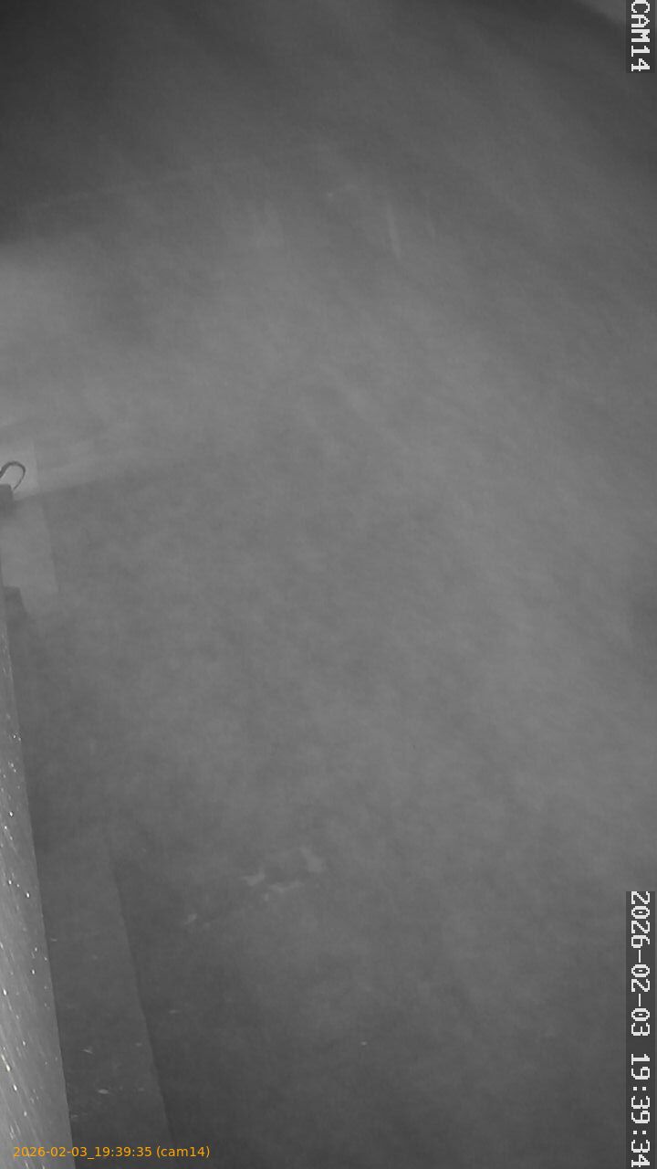 thumbnail_20260203193935