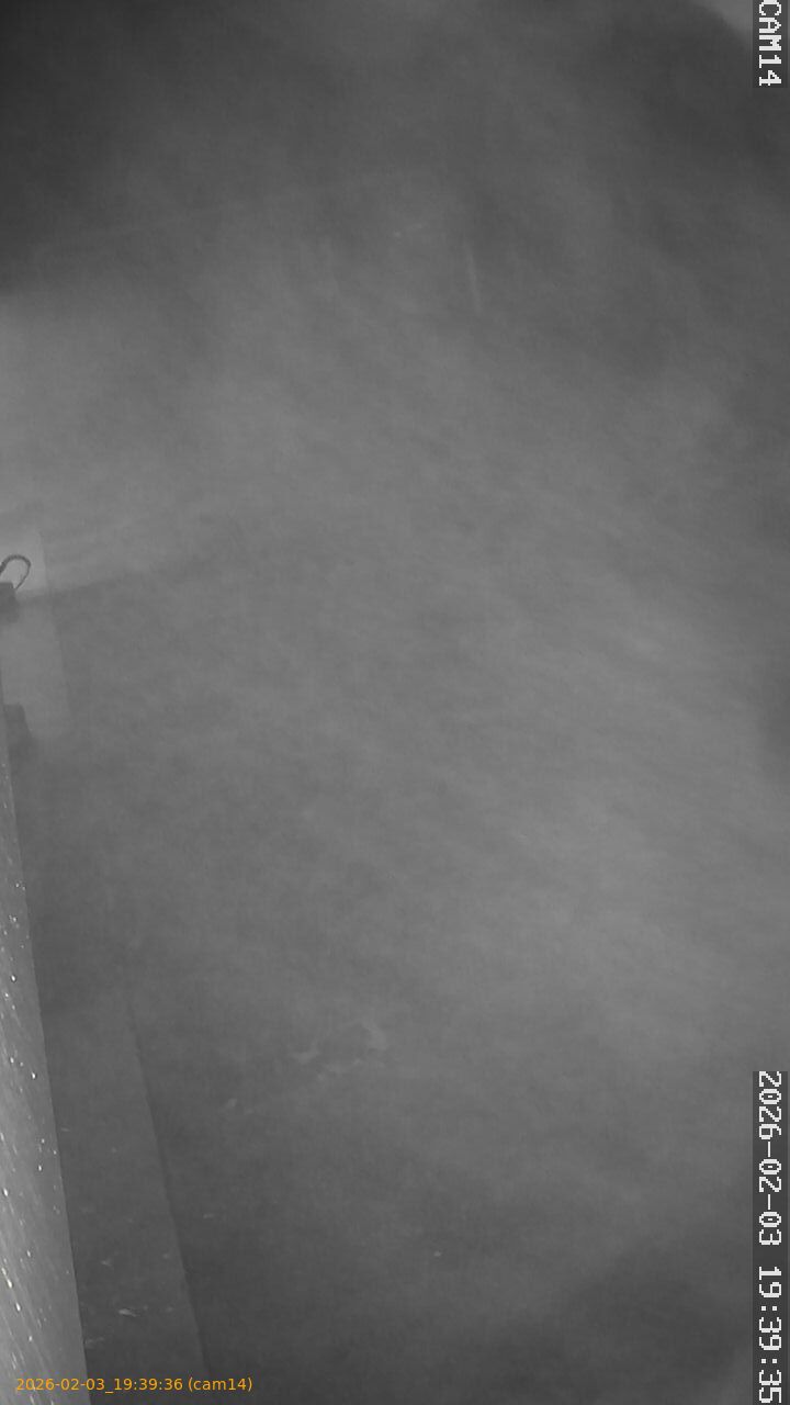 thumbnail_20260203193936