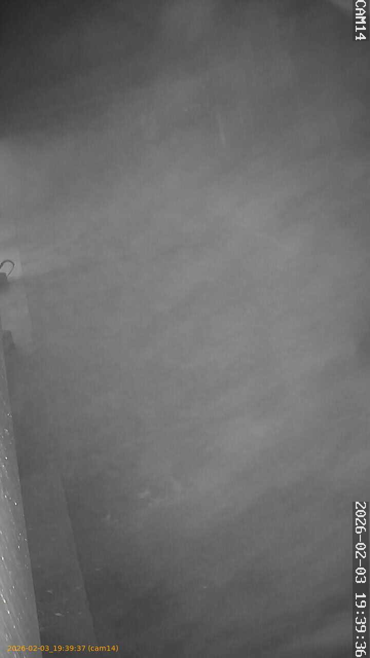 thumbnail_20260203193937