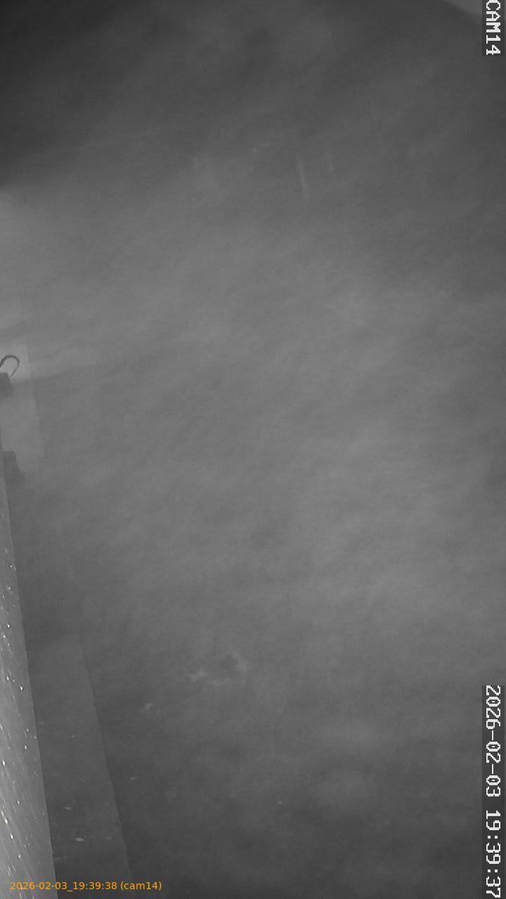 thumbnail_20260203193938