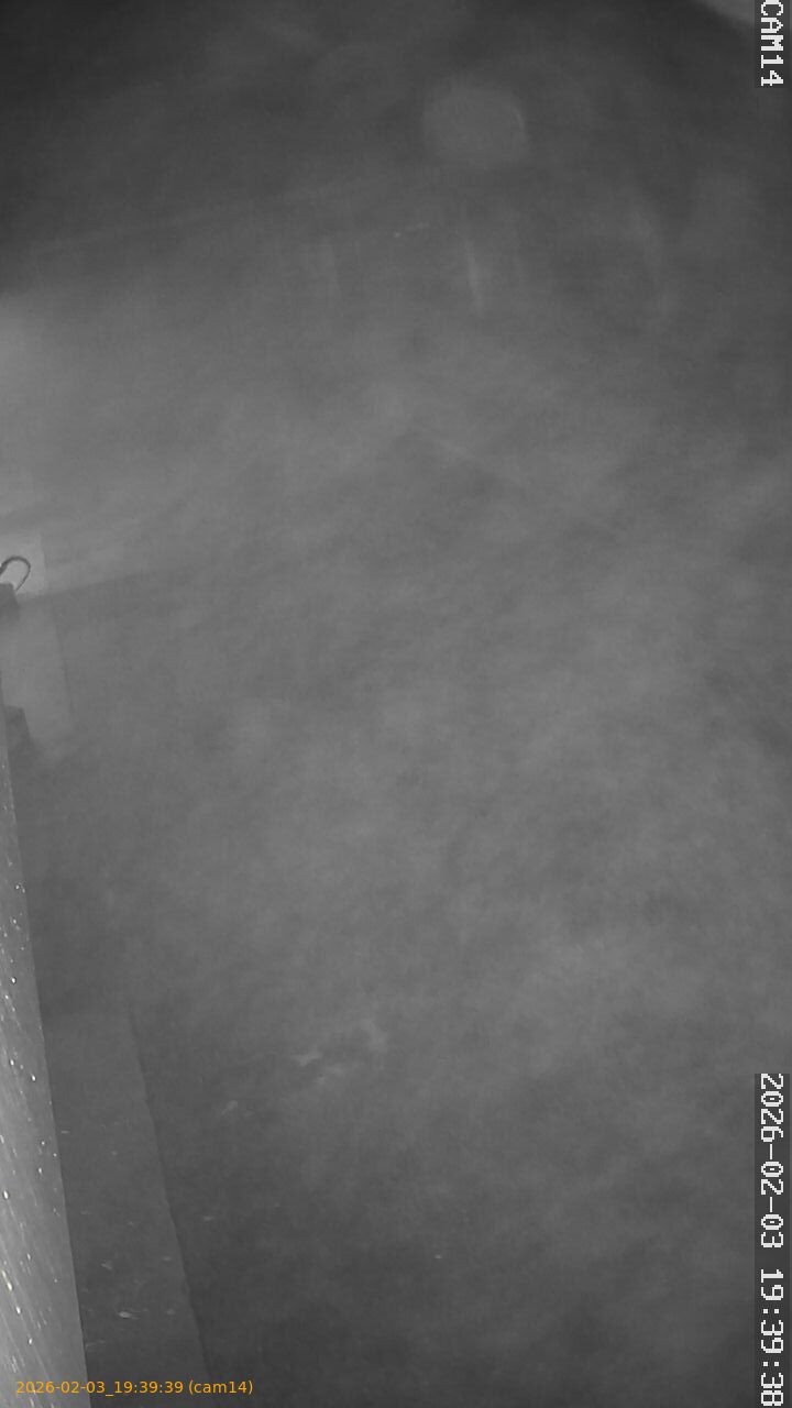 thumbnail_20260203193939