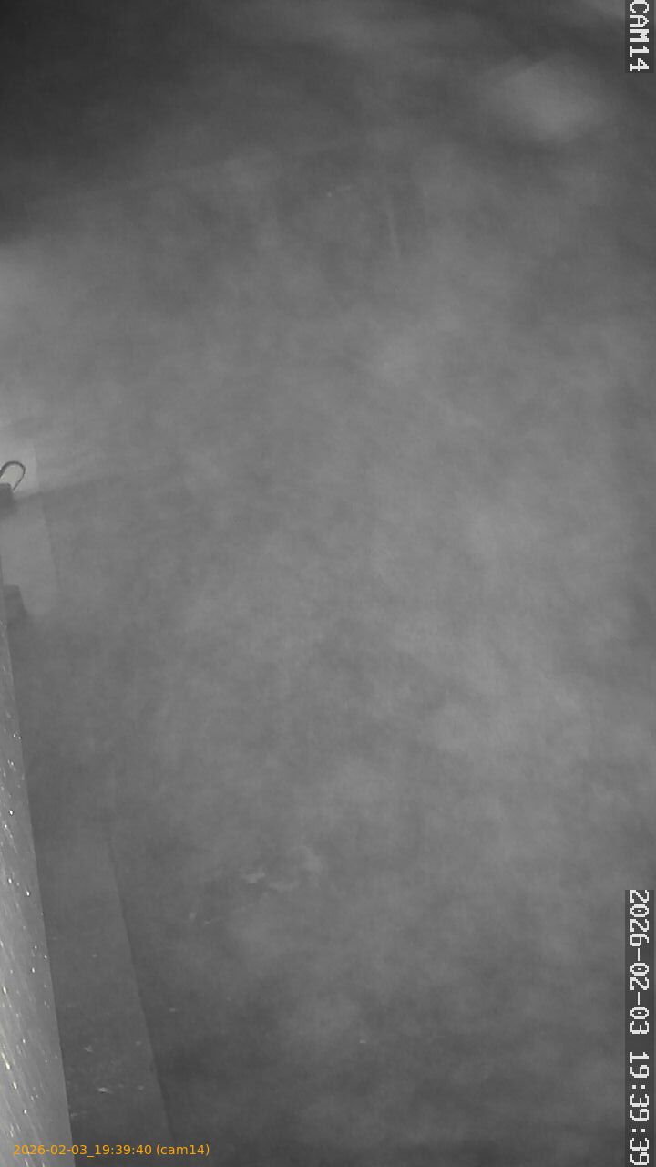 thumbnail_20260203193940