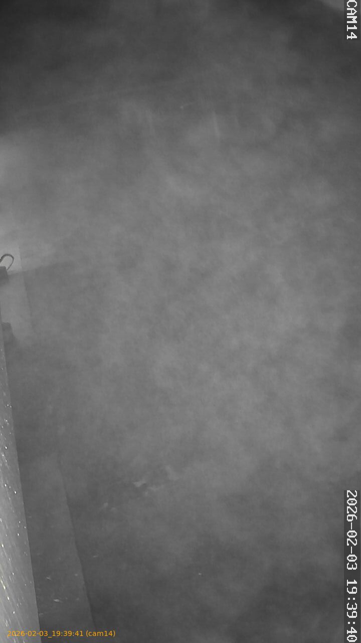 thumbnail_20260203193941