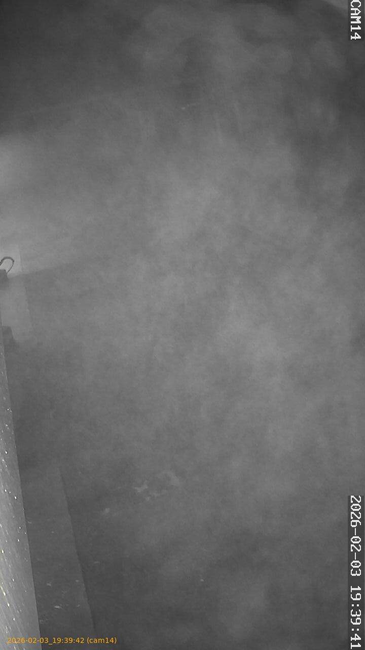 thumbnail_20260203193942