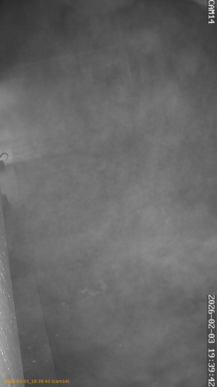 thumbnail_20260203193943