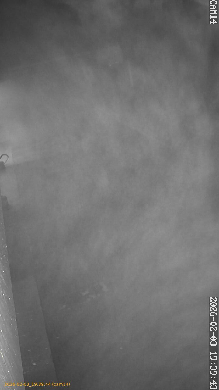 thumbnail_20260203193944