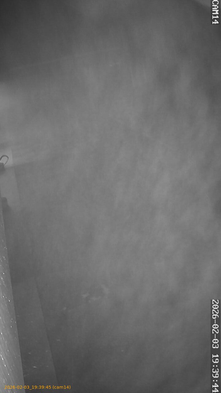 thumbnail_20260203193945