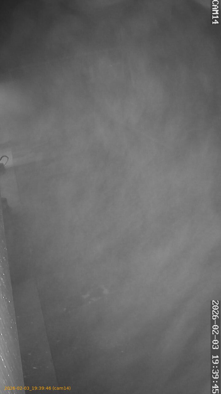 thumbnail_20260203193946