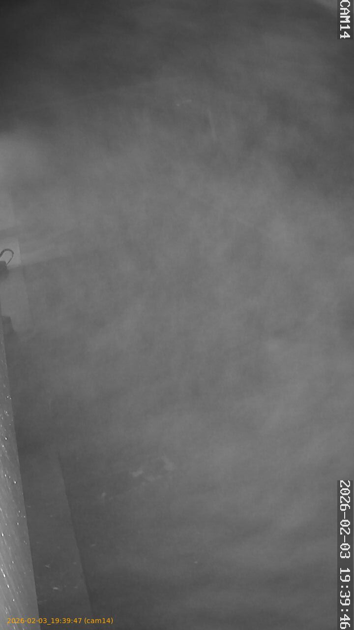 thumbnail_20260203193947