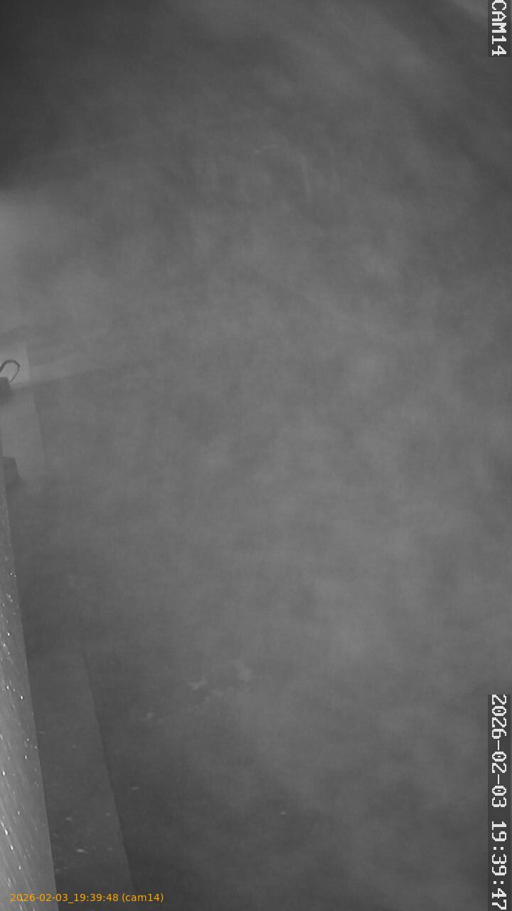 thumbnail_20260203193948