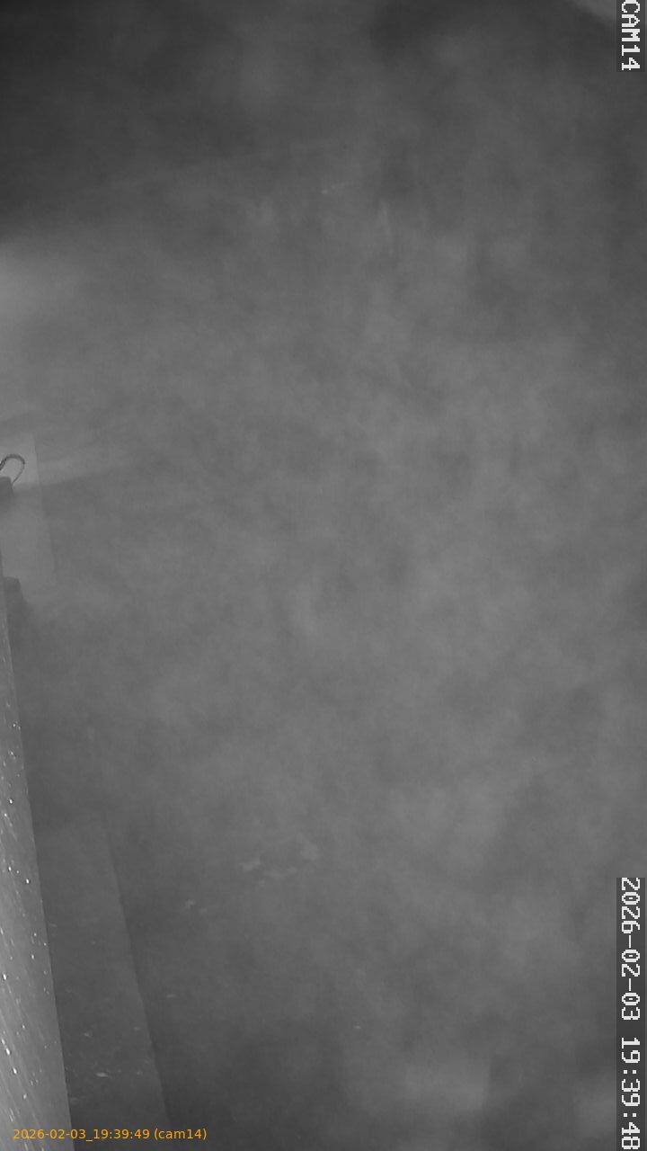 thumbnail_20260203193949