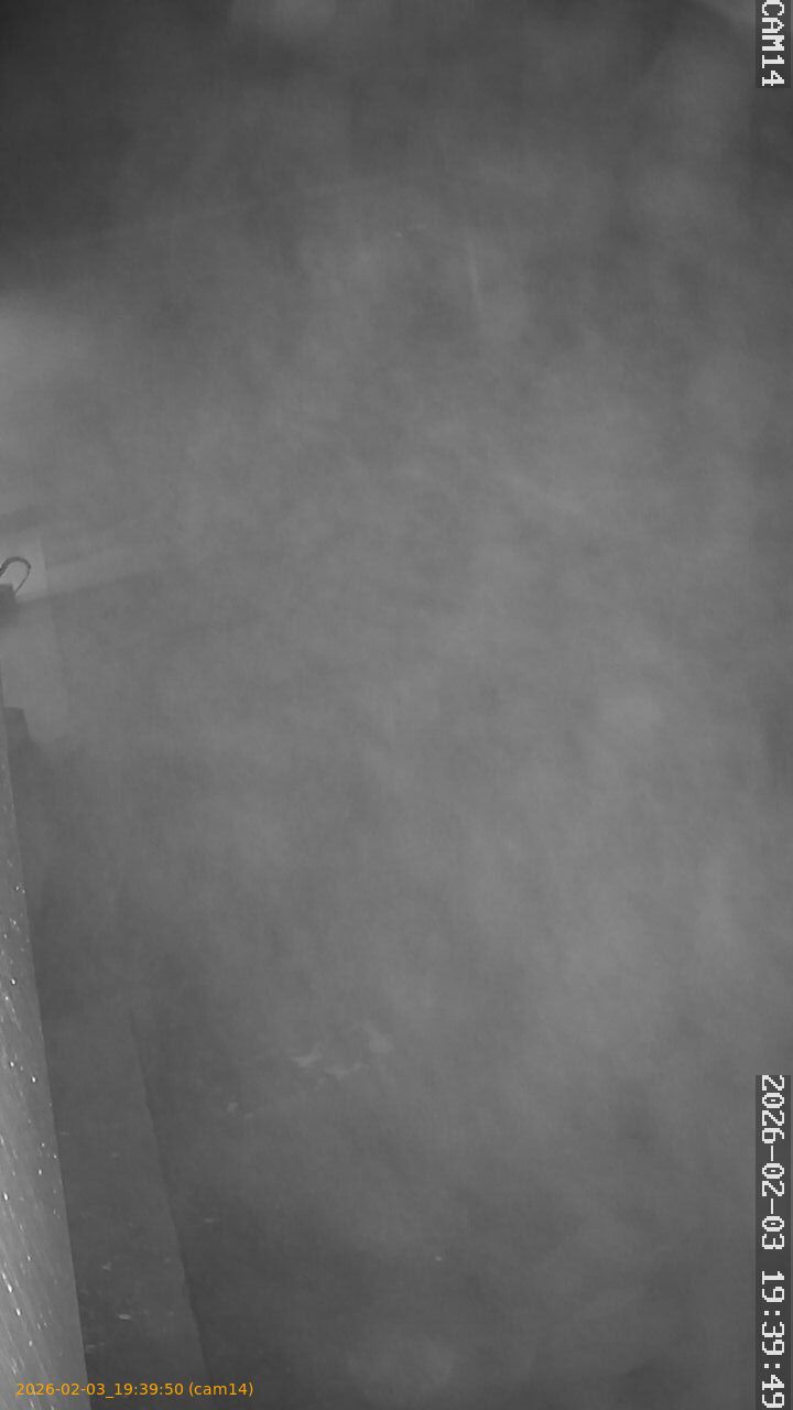 thumbnail_20260203193950