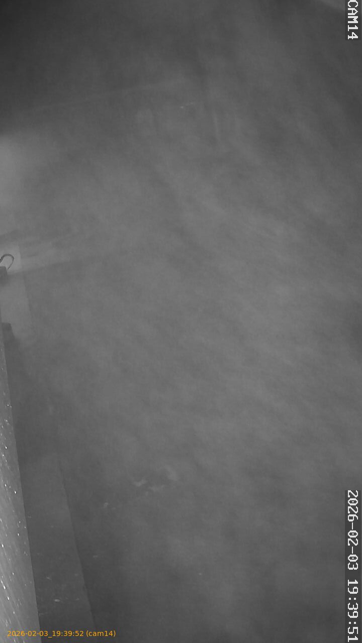 thumbnail_20260203193952