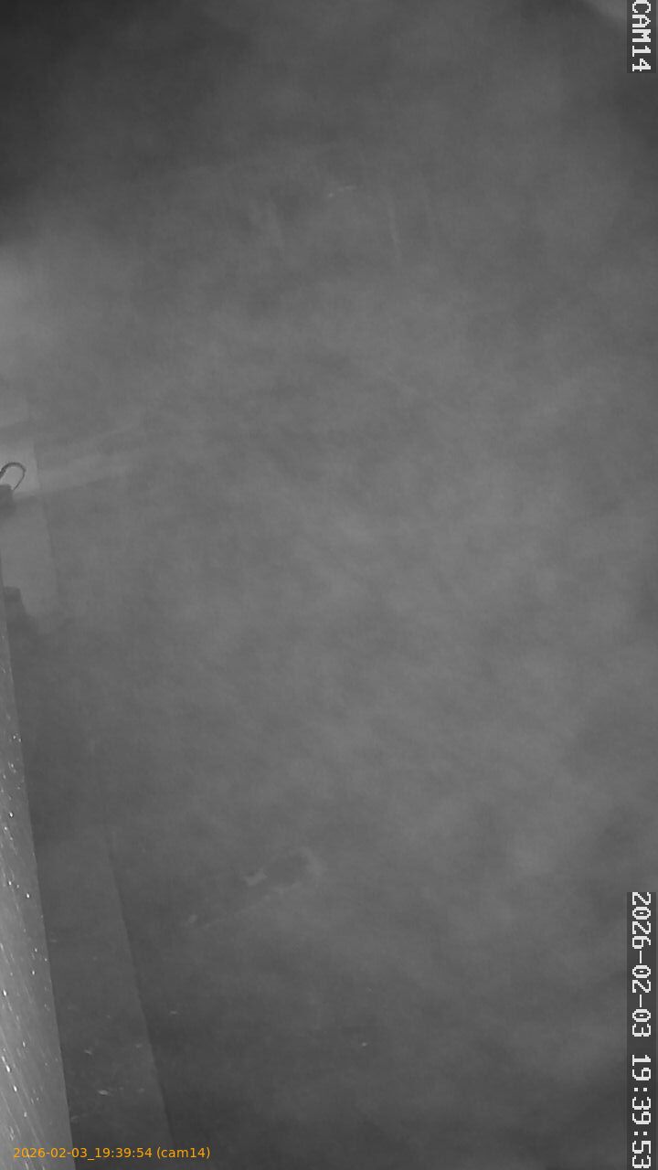 thumbnail_20260203193954