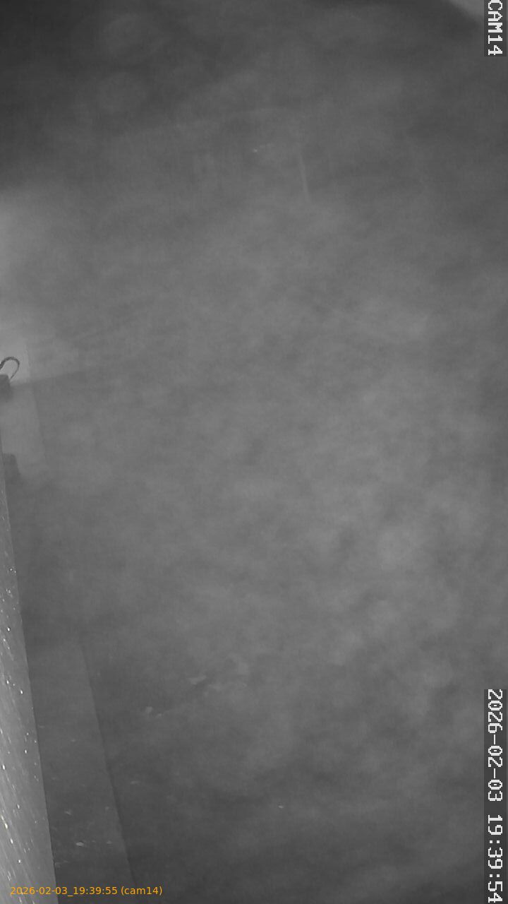 thumbnail_20260203193955