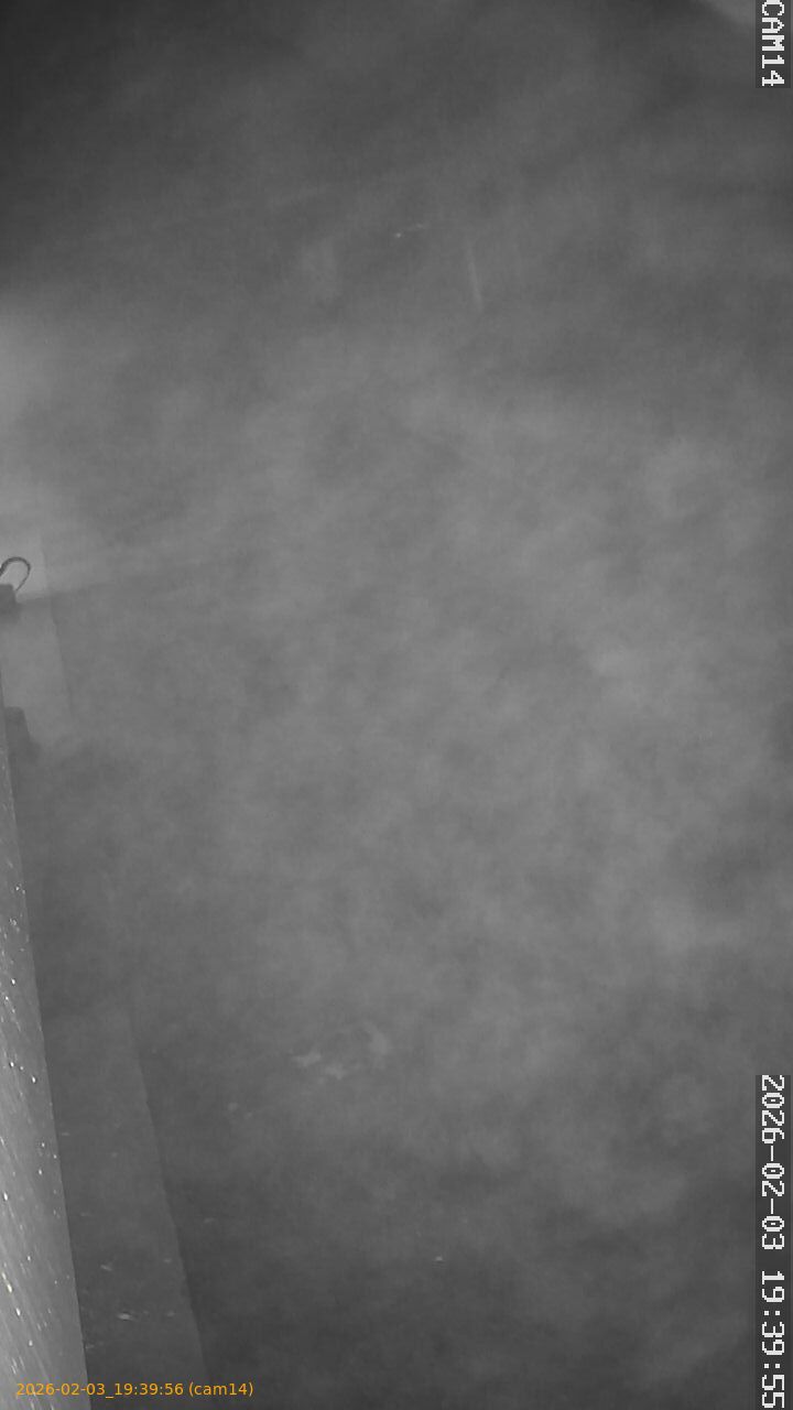 thumbnail_20260203193956