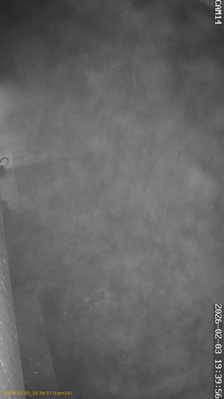 thumbnail_20260203193957