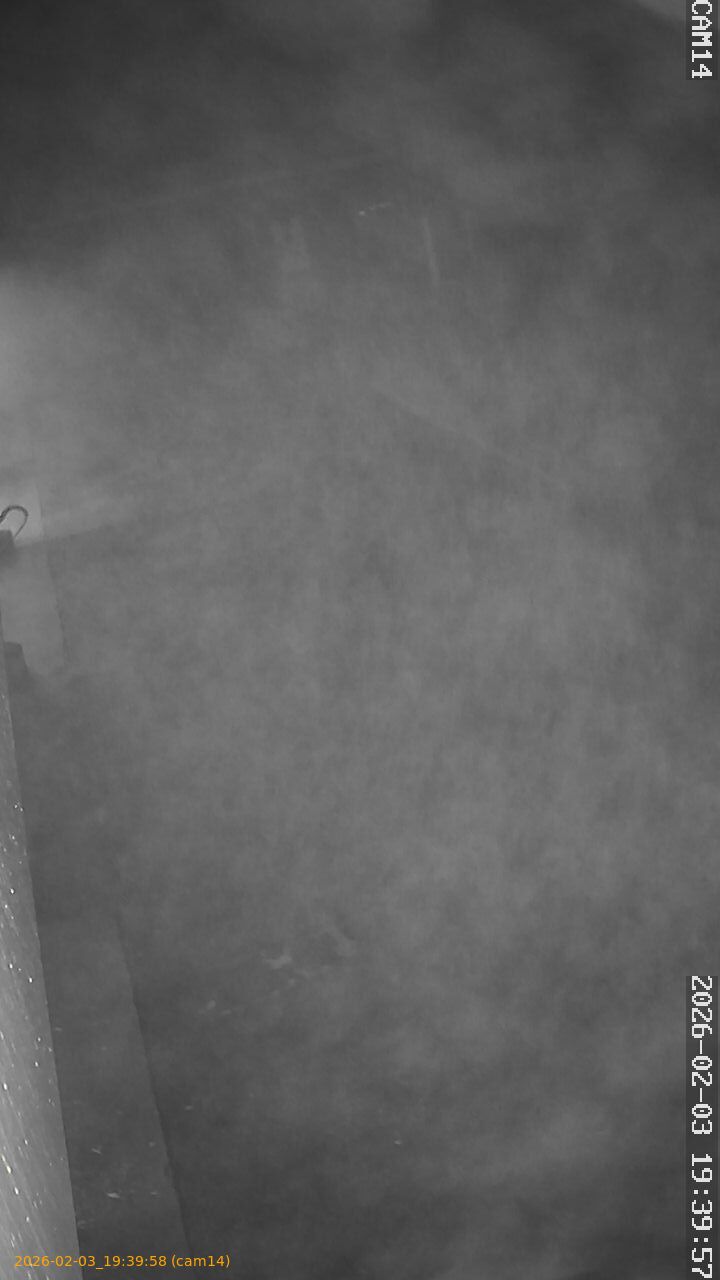 thumbnail_20260203193958