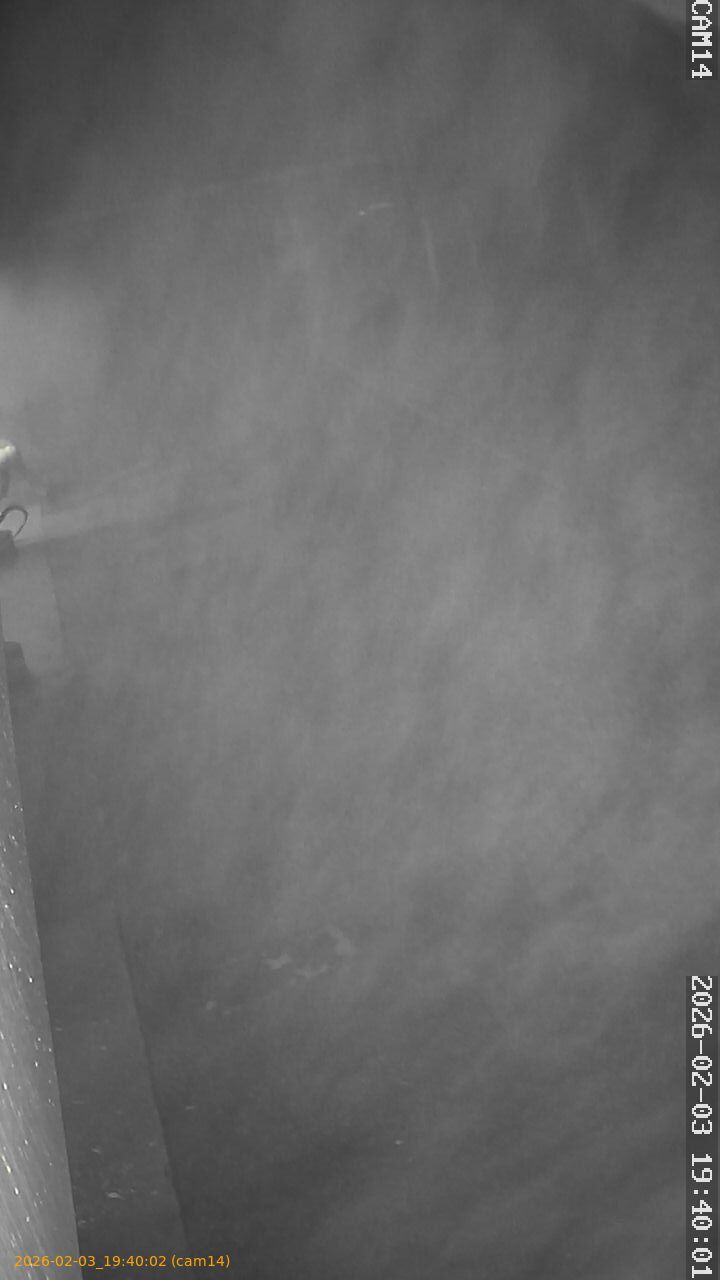 thumbnail_20260203194002