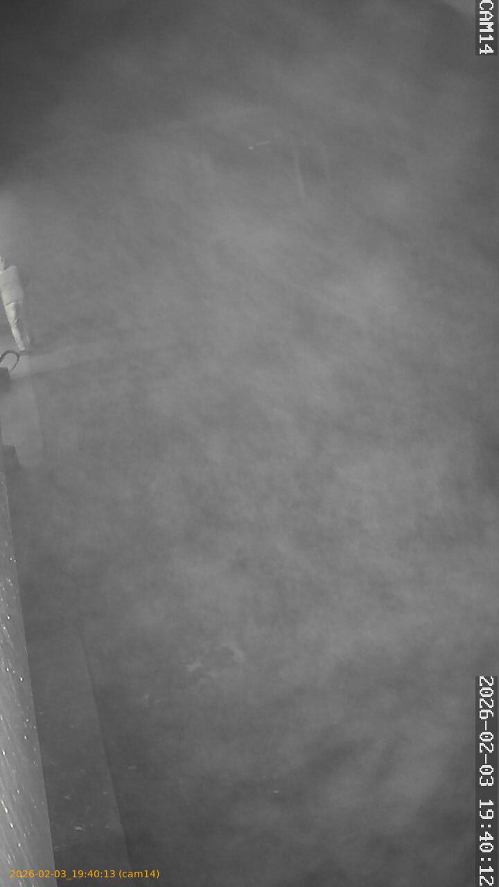 thumbnail_20260203194013