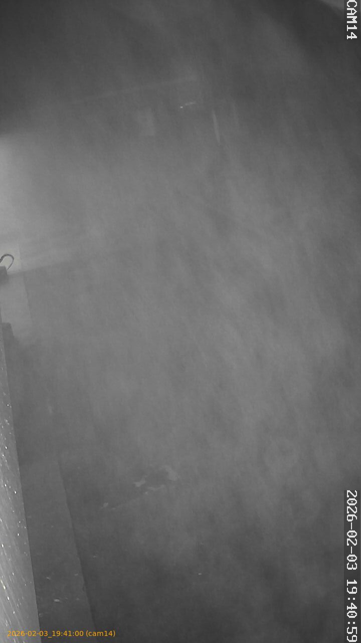 thumbnail_20260203194100