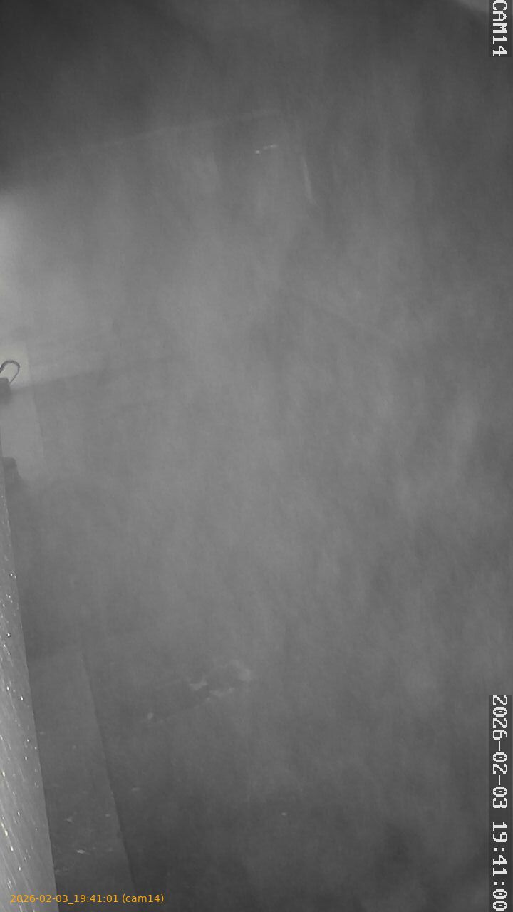 thumbnail_20260203194101