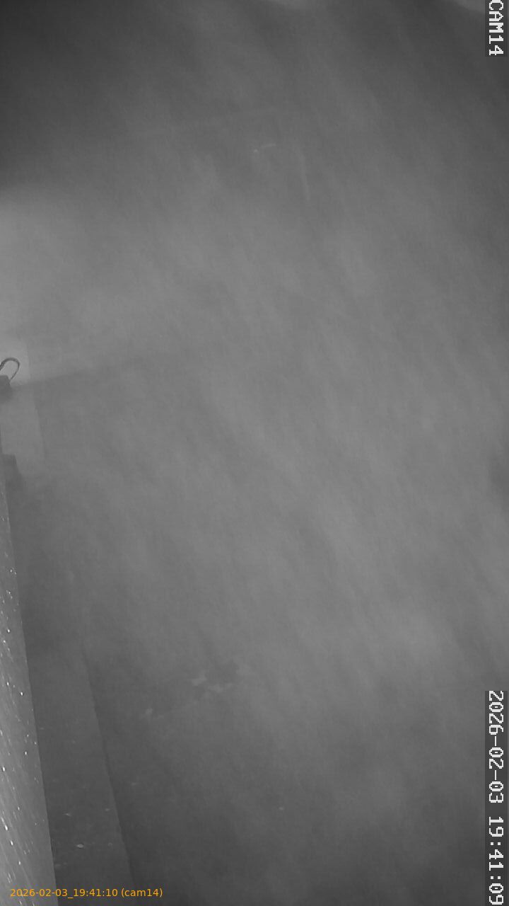 thumbnail_20260203194110