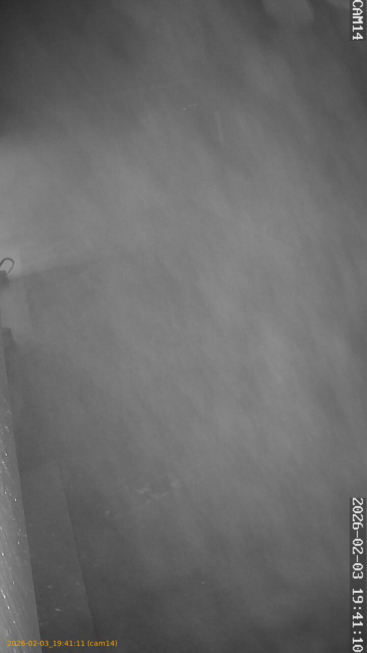 thumbnail_20260203194111