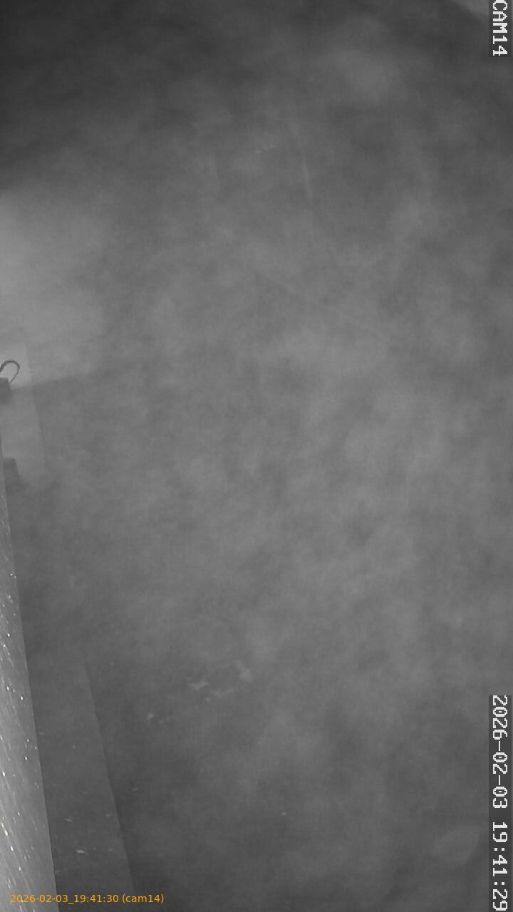 thumbnail_20260203194130