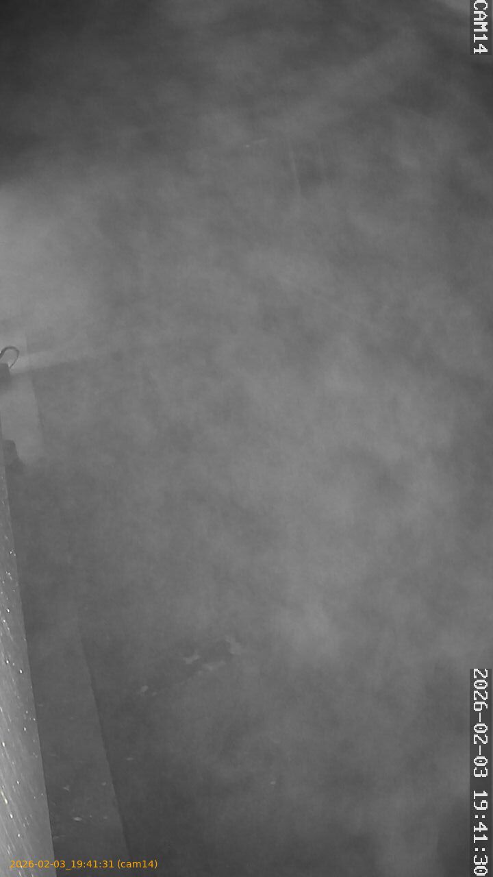 thumbnail_20260203194131