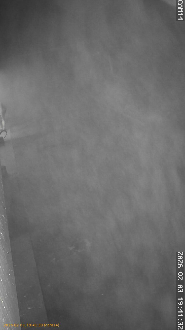 thumbnail_20260203194133