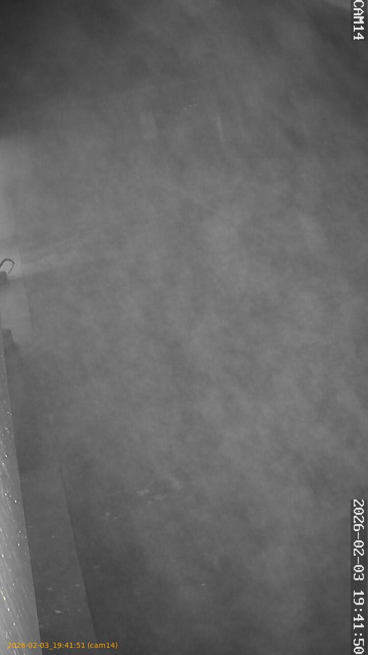 thumbnail_20260203194151