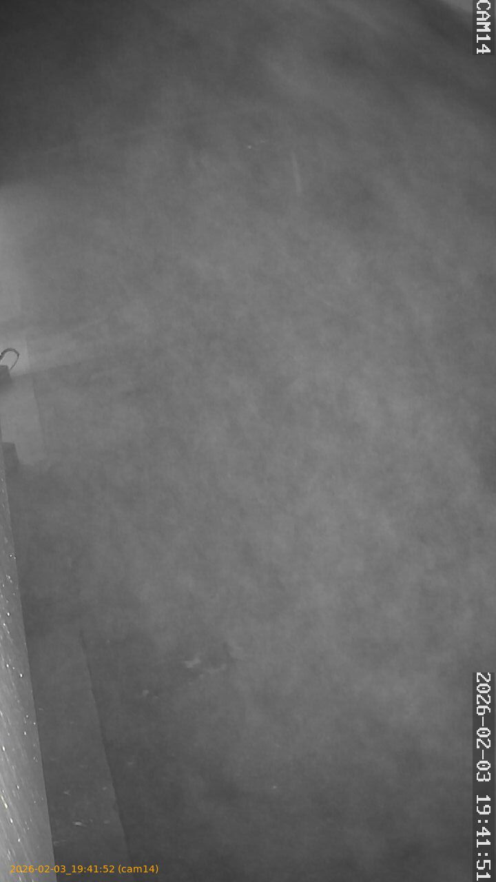 thumbnail_20260203194152