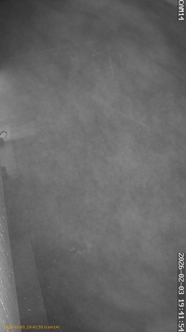 thumbnail_20260203194155