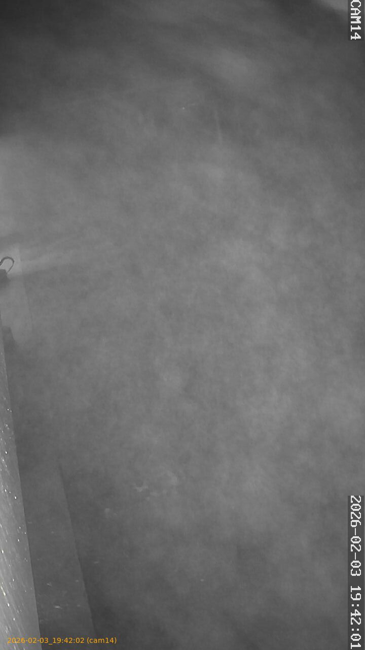 thumbnail_20260203194202