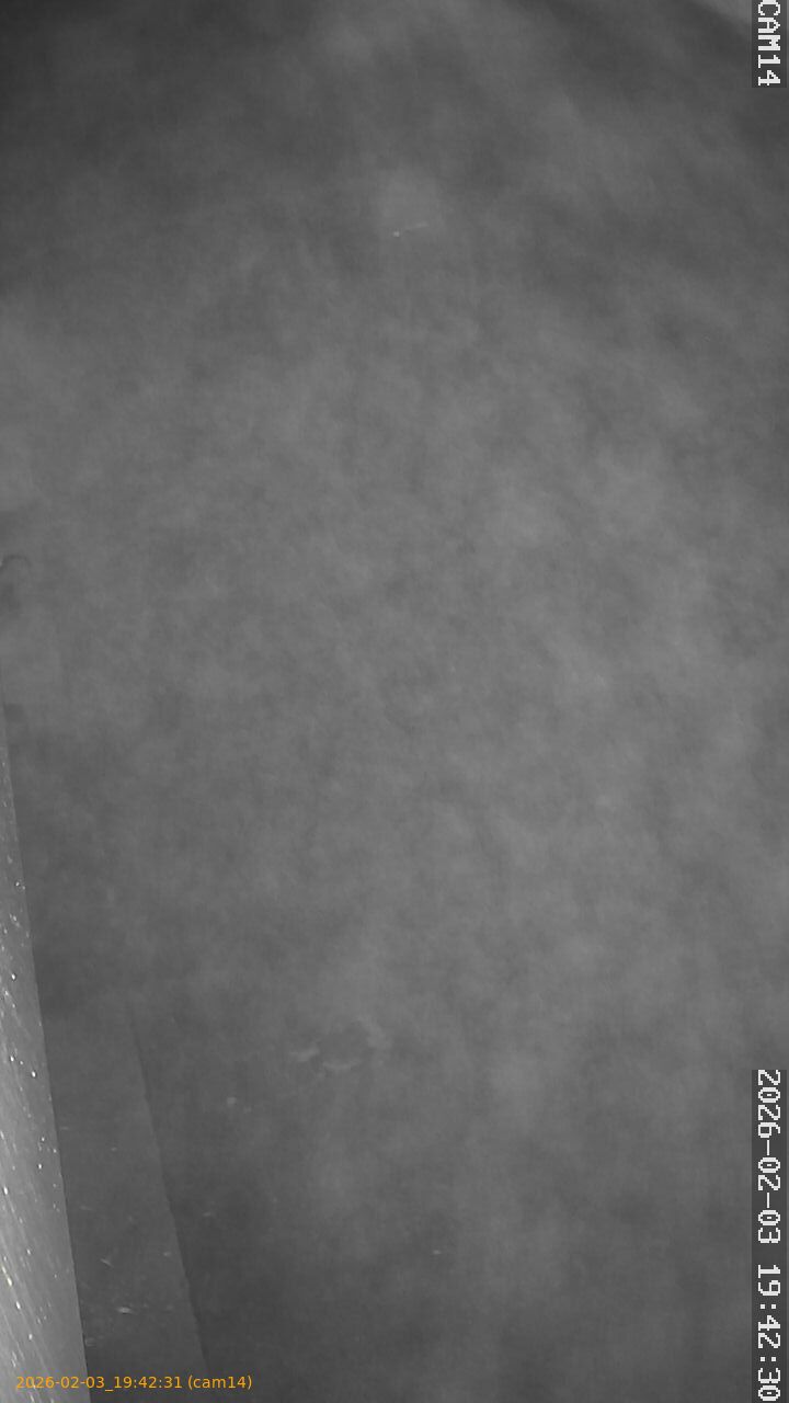 thumbnail_20260203194231