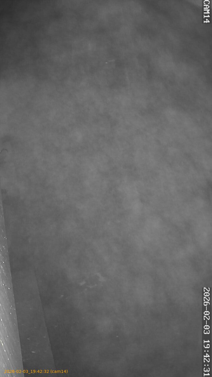 thumbnail_20260203194232