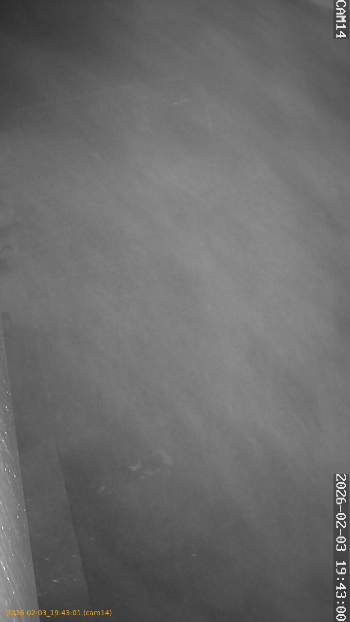 thumbnail_20260203194301