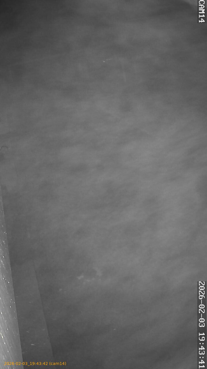 thumbnail_20260203194342